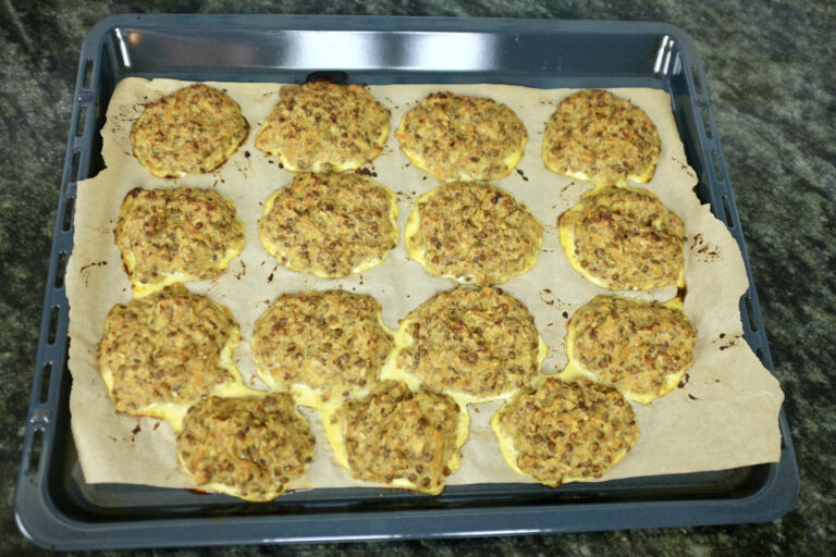 delicious tasty oven baked veggie ready patties with green lentil onion garlic and carrots