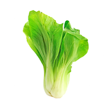 bok choy