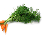 carrot leaves