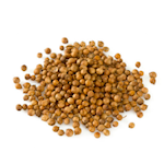 coriander seeds