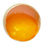 egg yolk