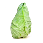 pointed cabbage