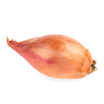 shallot