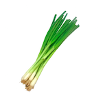 spring onion