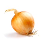 sweet onion