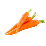 carrot