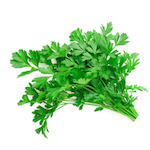 flat leaf parsley