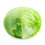 iceberg lettuce