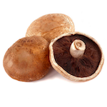 portobello mushroom